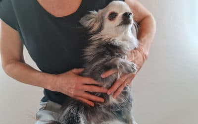 Dystrofické kalcifikace nemusí být trvalé