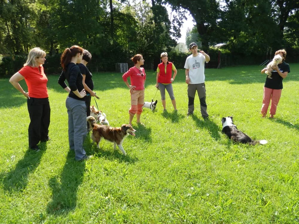 Přednáška pro Agility Hodonín