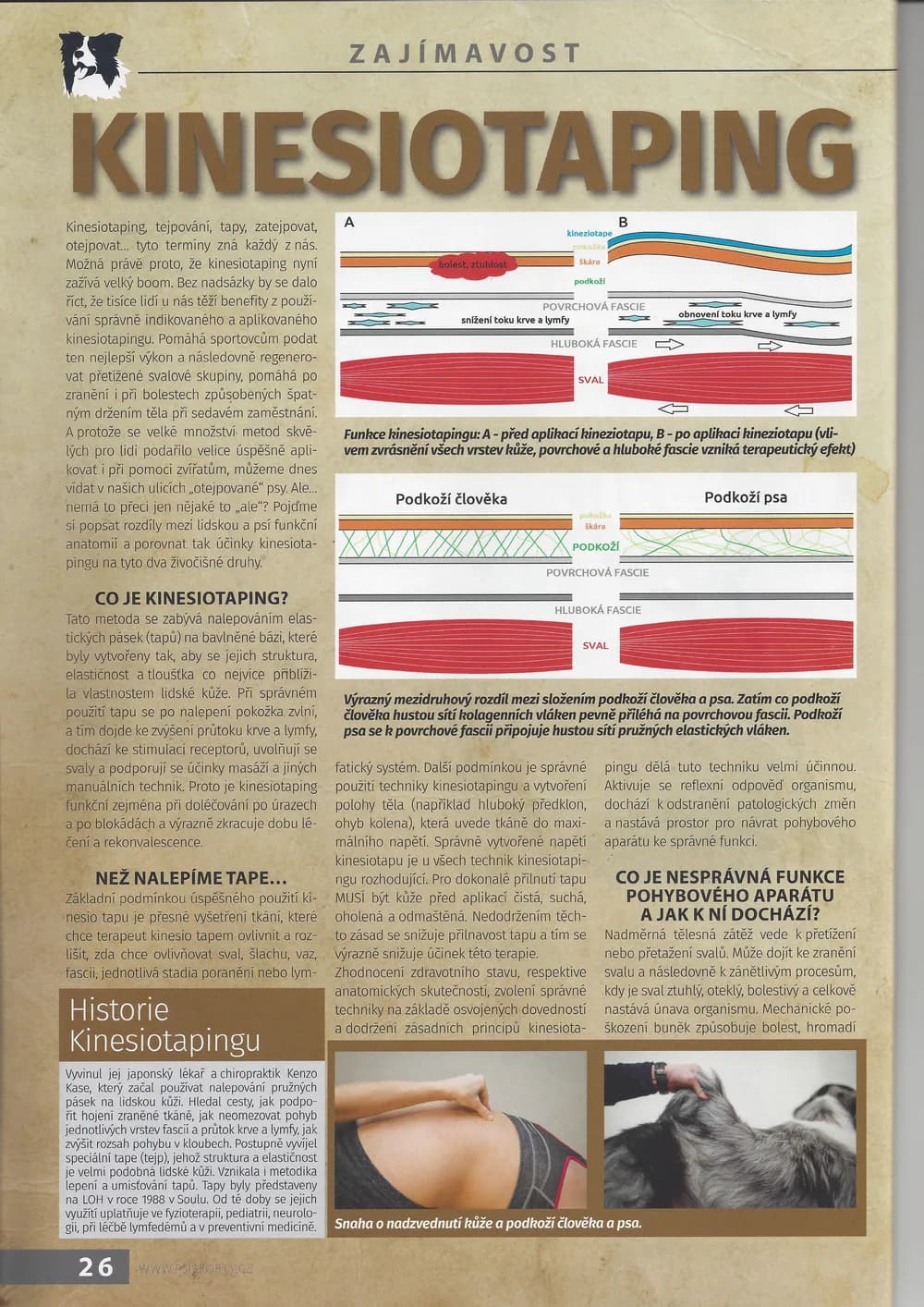 Časopis Psí sporty a KINESIOTAPING