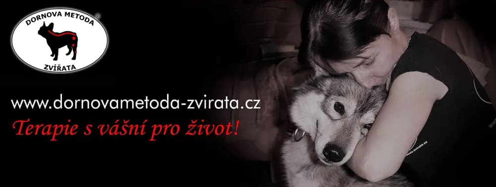 Začátky Dornovy metody pro zvířata