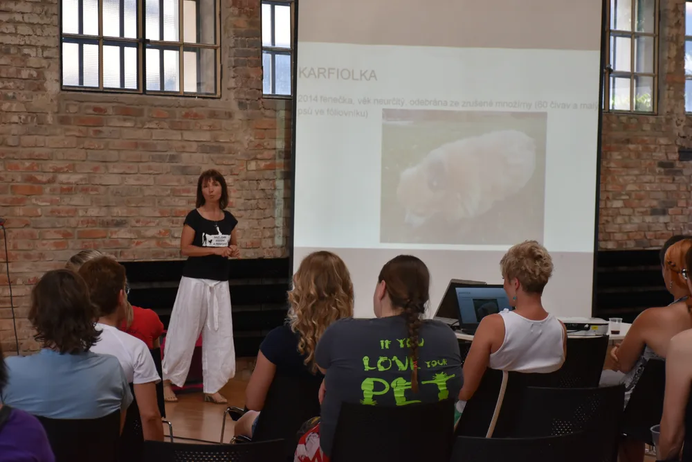Projekt NAZÍ JSME KRÁSNÍ A PRAVDIVÍ